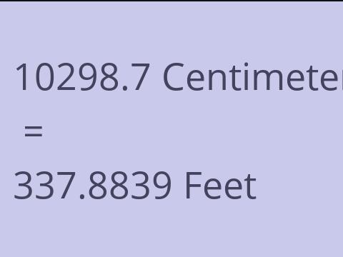 10298.7 CM TO FEET