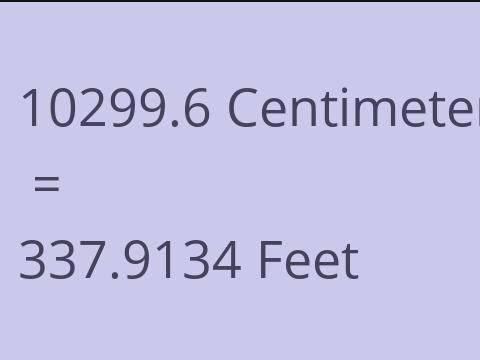 10299.6 CM TO FEET