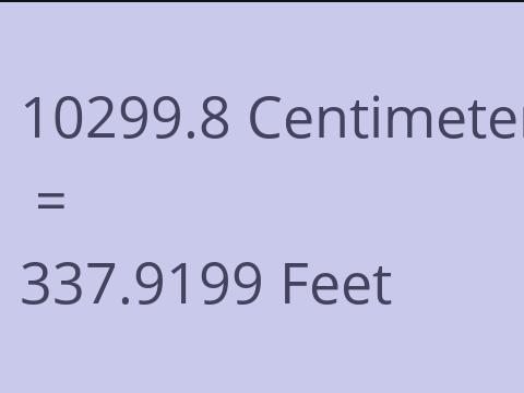 10299.8 CM TO FEET