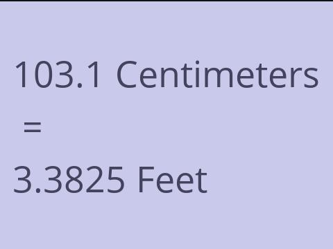 103.1 CM TO FEET