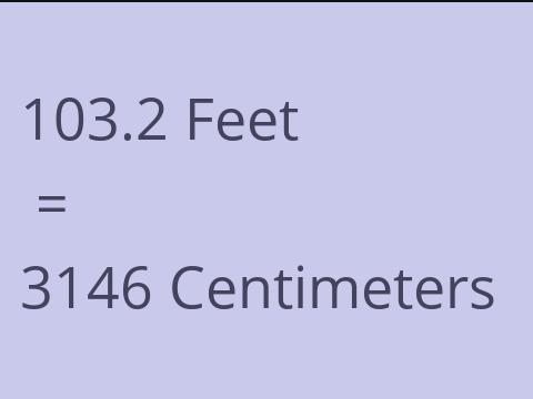 103.2 FEET TO CM