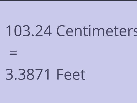 103.24 CM TO FEET