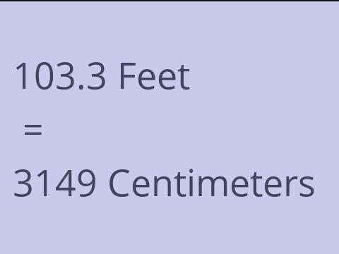 103.3 FEET TO CM