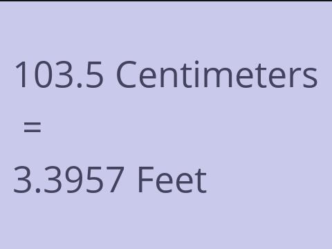 103.5 CM TO FEET