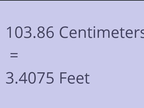 103.86 CM TO FEET