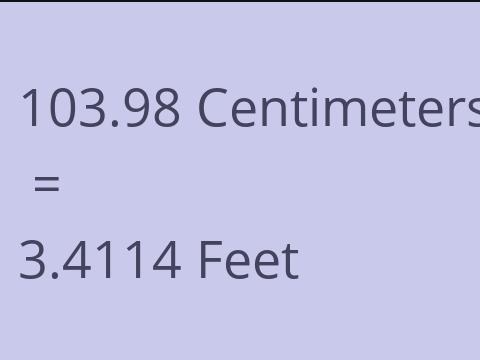 103.98 CM TO FEET