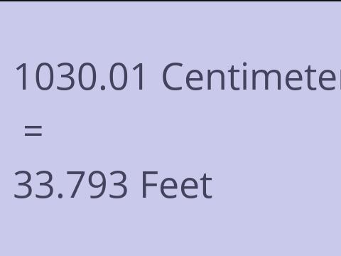 1030.01 CM TO FEET