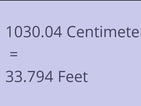 1030.04 CM TO FEET