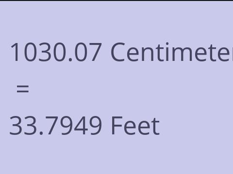 1030.07 CM TO FEET