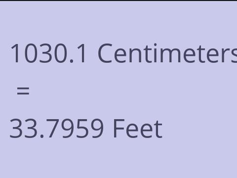 1030.1 CM TO FEET