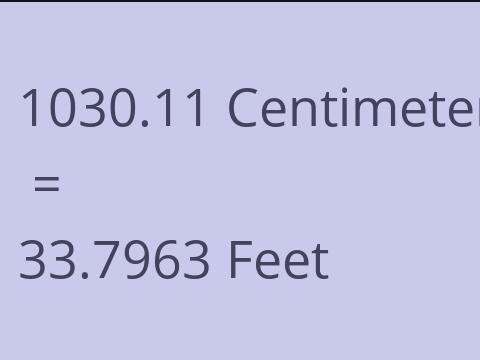 1030.11 CM TO FEET