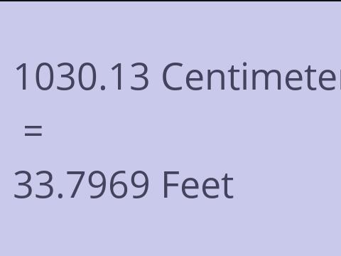 1030.13 CM TO FEET