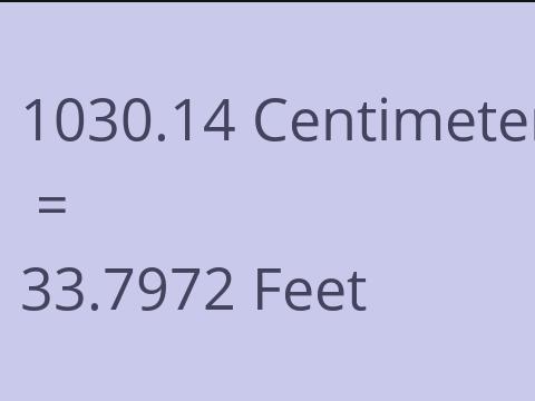 1030.14 CM TO FEET