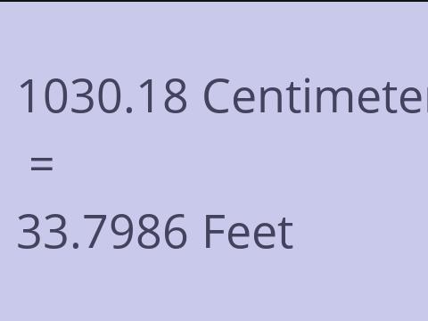 1030.18 CM TO FEET