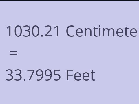 1030.21 CM TO FEET