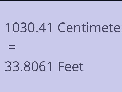 1030.41 CM TO FEET