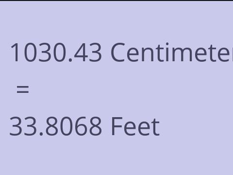 1030.43 CM TO FEET