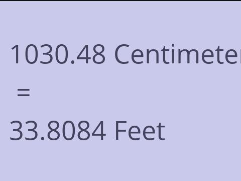 1030.48 CM TO FEET