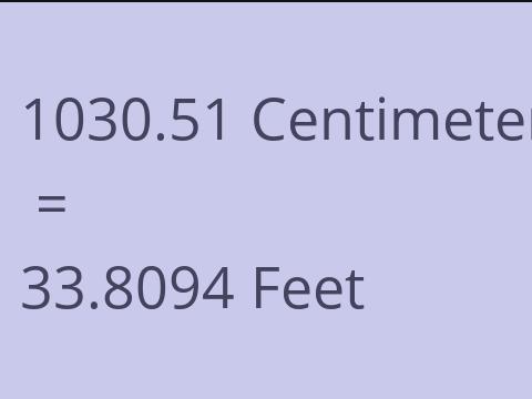 1030.51 CM TO FEET