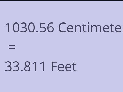 1030.56 CM TO FEET