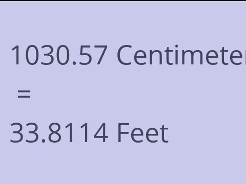 1030.57 CM TO FEET