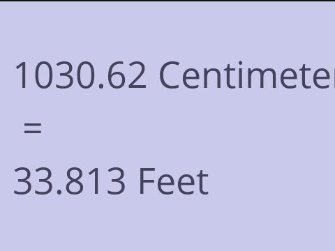 1030.62 CM TO FEET