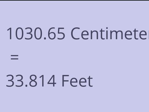 1030.65 CM TO FEET