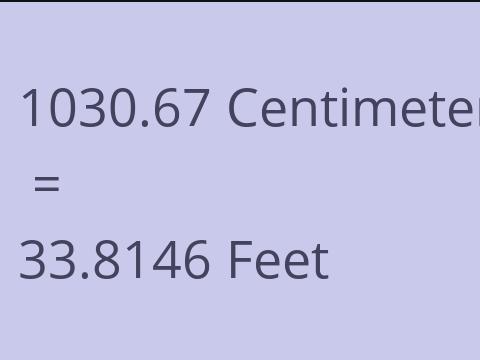 1030.67 CM TO FEET