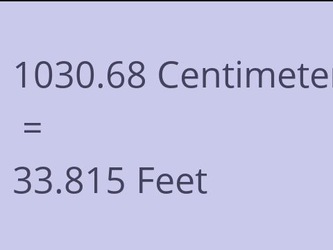 1030.68 CM TO FEET