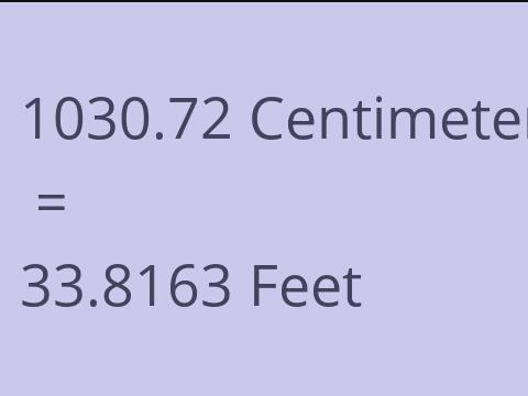 1030.72 CM TO FEET