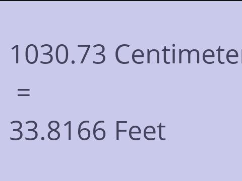 1030.73 CM TO FEET