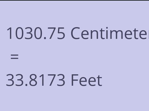 1030.75 CM TO FEET