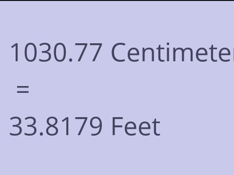 1030.77 CM TO FEET