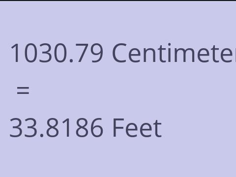 1030.79 CM TO FEET