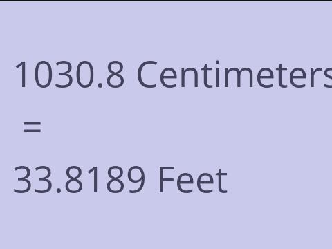 1030.8 CM TO FEET