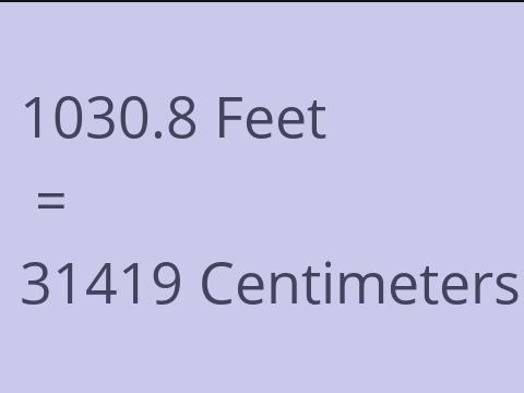 1030.8 FEET TO CM