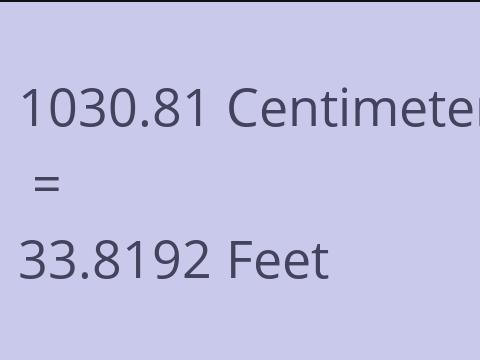 1030.81 CM TO FEET