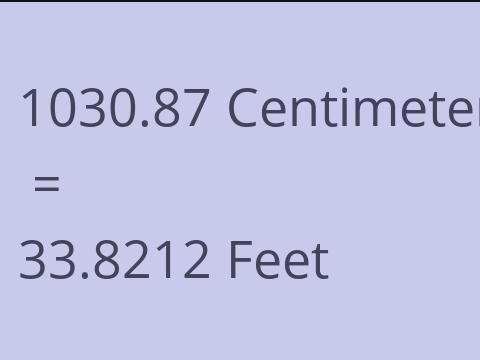 1030.87 CM TO FEET