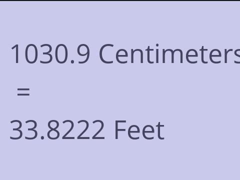 1030.9 CM TO FEET