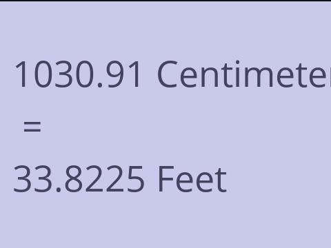 1030.91 CM TO FEET