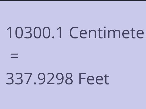 10300.1 CM TO FEET