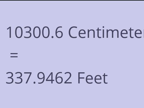10300.6 CM TO FEET
