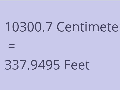 10300.7 CM TO FEET