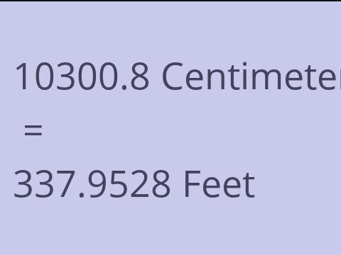 10300.8 CM TO FEET