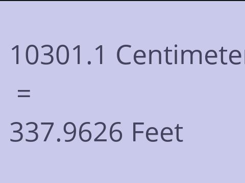 10301.1 CM TO FEET