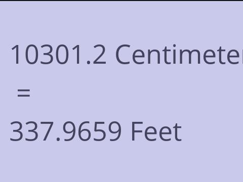 10301.2 CM TO FEET