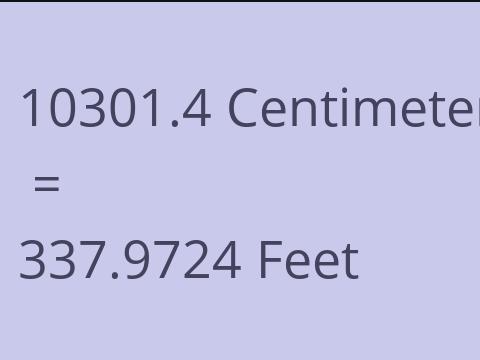 10301.4 CM TO FEET