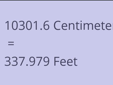 10301.6 CM TO FEET