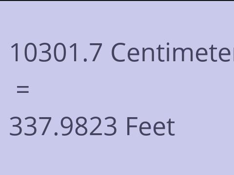 10301.7 CM TO FEET