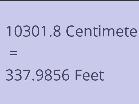 10301.8 CM TO FEET